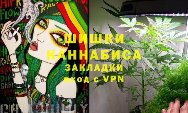 apvp Аркадак