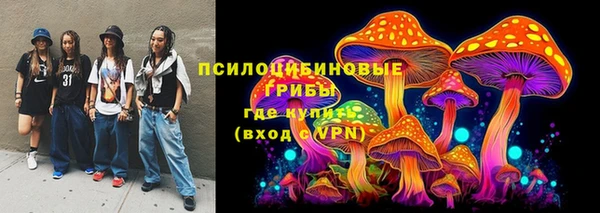 бошки Арсеньев